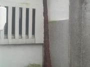 Ƃ񂳂ٍ̔cÕqق̓eʐ^3