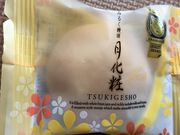 [񂳂̐؏oX̓eʐ^1