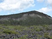 �C�[�X�g�E�b�h����̎Ȍ͎R�̗ё��̓��e�ʐ^1