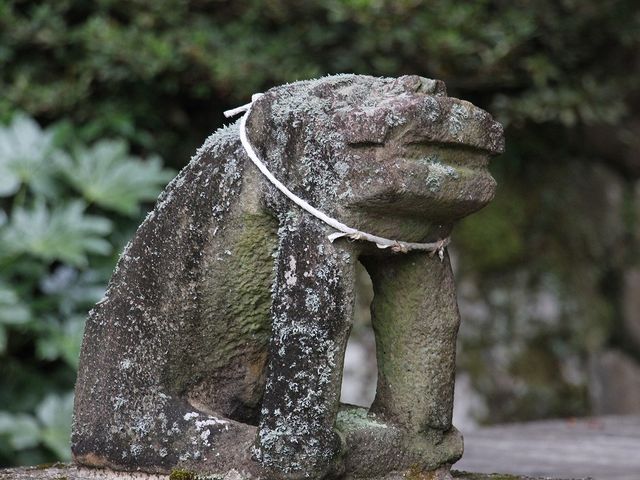 狛犬が個性的でした。_多久八幡神社