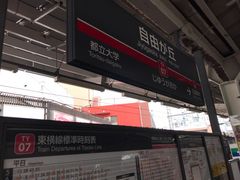 topology����̓��}�d�S���R���u�w�i�������E��䒬���j�ւ̓��e�ʐ^1