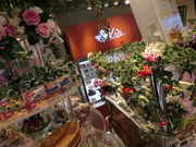 ڂ񂳂َ̂q̂X j̓eʐ^5