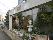 ڂ񂳂َ̂q̂X j̓eʐ^6