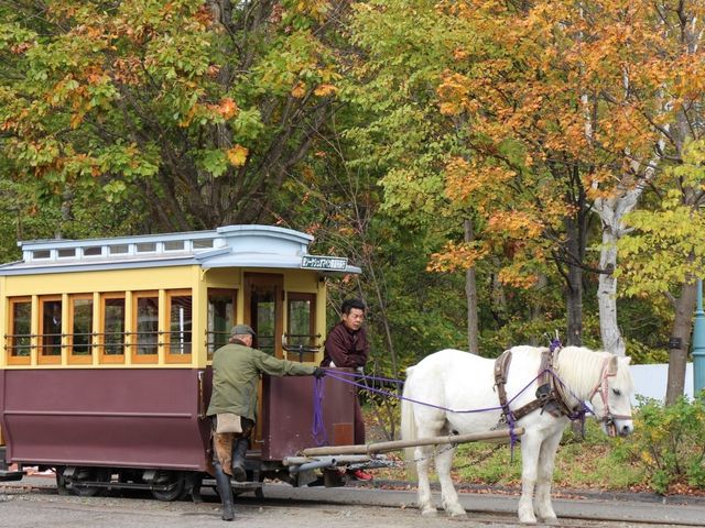 �S���n��_�k�C���J��̑�