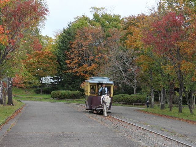 �g�t�̒��𑖂�_�k�C���J��̑�