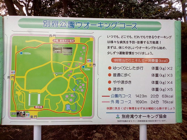 �ē���_�ʕ{����