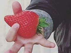 񂳂̖̋@V_ւ̓eʐ^1