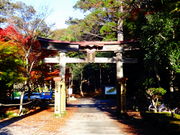 ǁ[̒擌Ƌ{i殐_Ёjsz^̗̓eʐ^1