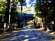 ǁ[̒擌Ƌ{i殐_Ёjsz^̗̓eʐ^2