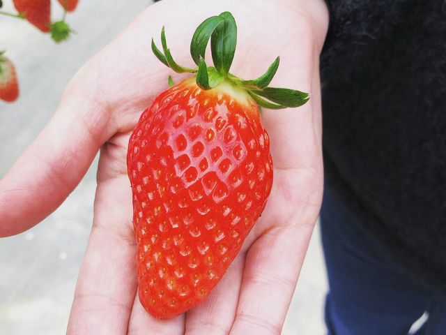 ���悢�Â��łĂ��������������I
���������莩�R�ł����A���̂܂܂ł��イ�Ԃ�ɔ��������ł��B_�����ό��A�O���X�l����