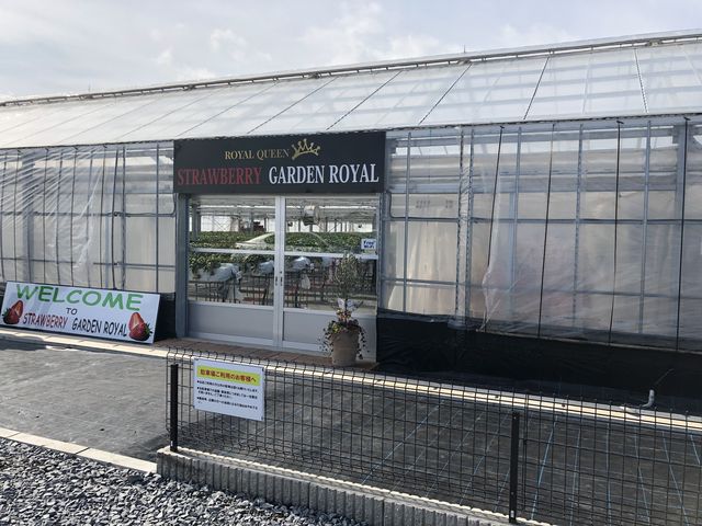 �X�ܓ���_STRAWBERRY GARDEN ROYAL