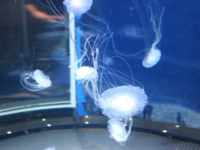 ���炰_�V�]�m��������