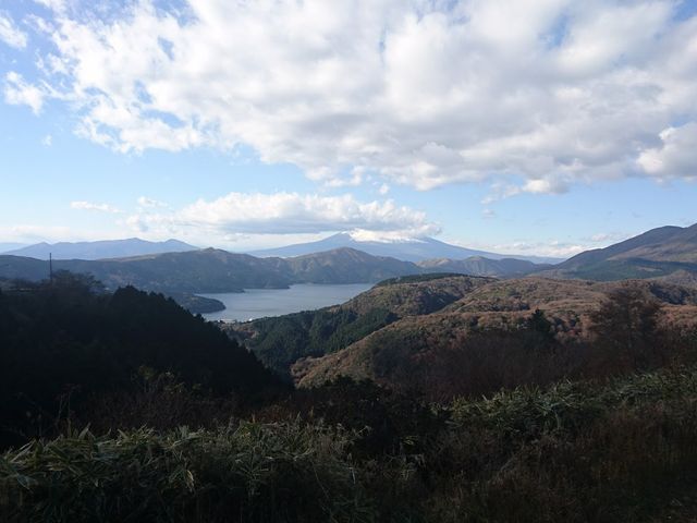 ���m�΂ƕx�m�R_�A�l�X�g��c�@�^�[���p�C�N����