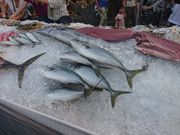 ؂ۂ̏chȂ킢𗬊ق̓eʐ^1