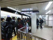 g\̌䓰ؐ ȂΉw̓eʐ^1