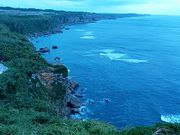 Ԃ񂽂̃CK[fR̓eʐ^1