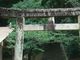アクセルゼンカイさんの愛宕神社（宮崎県宮崎市）の投稿写真1
