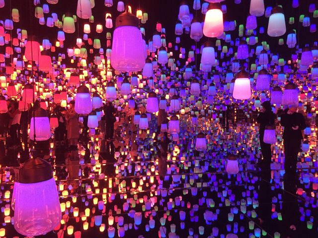 vƋpsvcȋԁB_MORI Building DIGITAL ART MUSEUM:EPSON teamLab Borderless