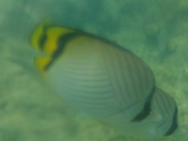 ����_��x�l�C��