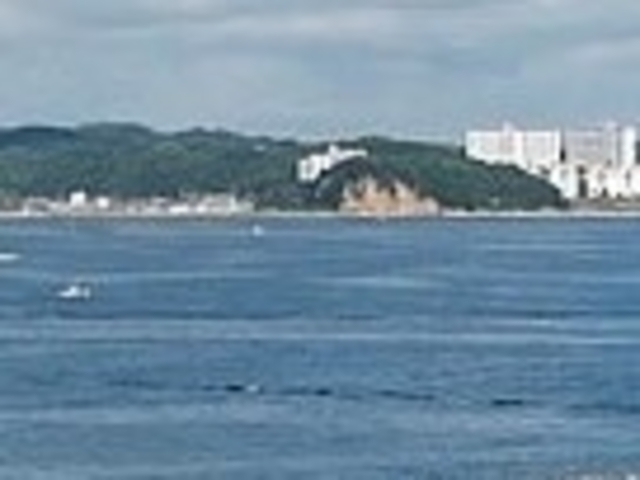 �T���Z�b�g�r�[�`_�T���Z�b�g�r�[�`