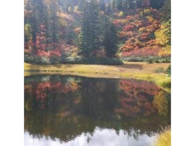 ���ꂢ�ł�_��ፂ�����Q