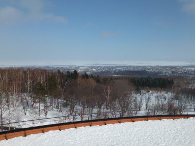 ���V�őf���炵�����i�ł���_�V�s�R�W�]��