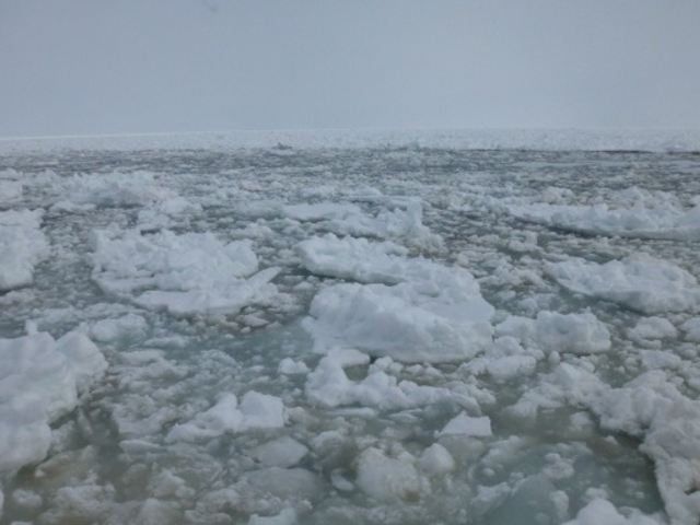 �D���猩�����X�ł�_�I�z�[�c�N�C�̗��X