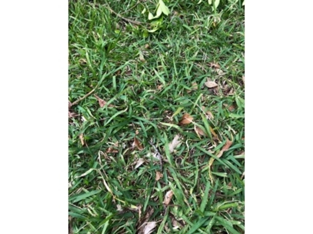 ���R_�~�[�t�K�[