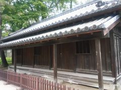 kelly����̓��S�ԏ��ւ̓��e�ʐ^1