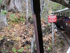 HIKO2̐ԑ򎩑Rx{тւ̓eʐ^1