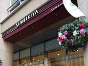 kelly̐D{X t[cp[[̓eʐ^1