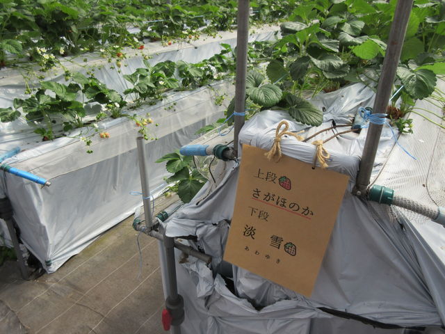 䕎��_�_Life�������̑�