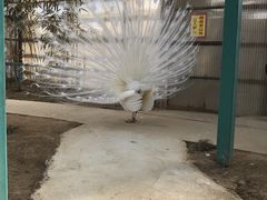 ���k�T�t�@���p�[�N�̎ʐ^2