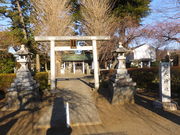 }CÑpp̉V_Ђ̓eʐ^1