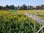 Xkv̔EӁ@΂ăbNXR[X̓eʐ^1