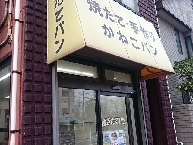 񂿂񂳂̂˂p̓eʐ^1