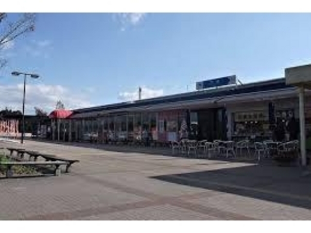 �T�[�r�X�G���A_�O�؃T�[�r�X�G���A�i�����j