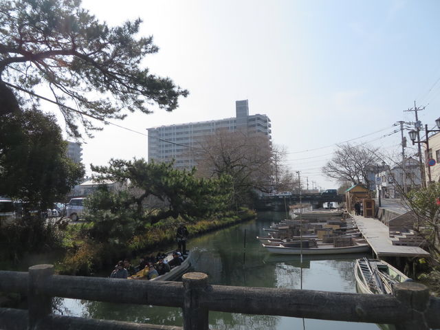 ���x�Ɛ쉺��D_��������ό�