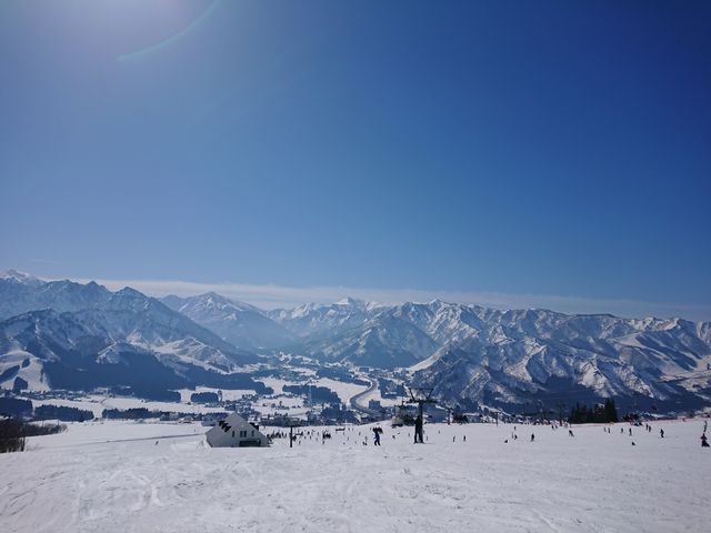 ��������ł��B_�⌴