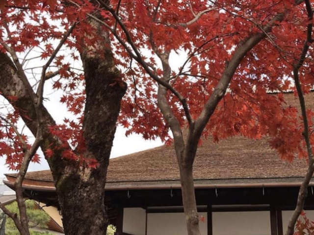 �g�t�I_�哿��