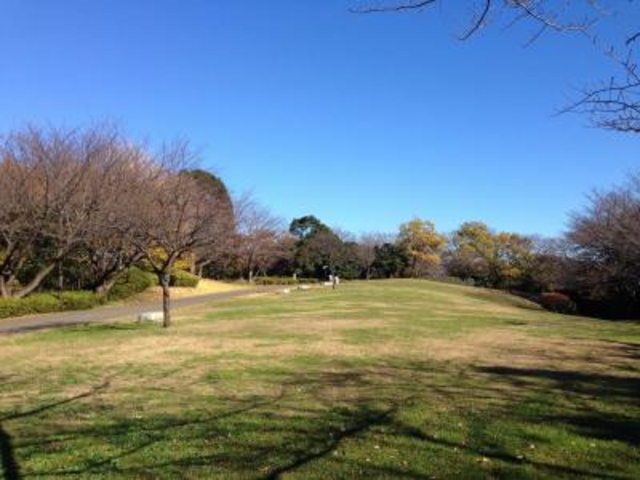 �{�q�R������_�{�q�R������