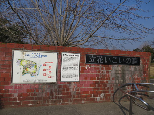 Ԃ񂳂̗Ԃ̐X̓eʐ^3