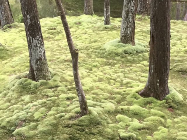 �ێ��I_���F��