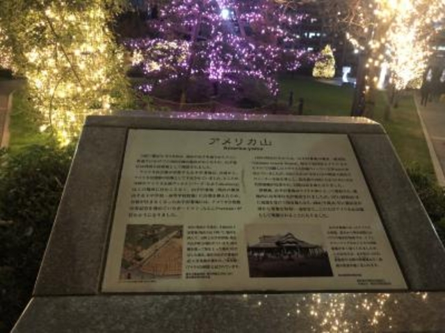 �A�����J�R����_�A�����J�R����