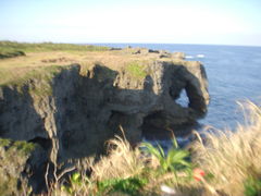 ܂肳̖тւ̓eʐ^1