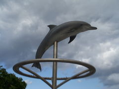 ܂肳̊Cmւ̓eʐ^1