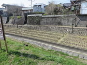 Ԃ񂳂̗쐅ۗΒn̓eʐ^2