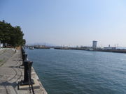 Ԃ񂳂̎Or`ƌ̍qH̓eʐ^3