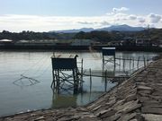 poporon����̒I���Ԃ̓��e�ʐ^2