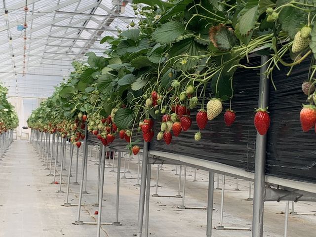 ����Ȋ����ł��������������񂠂�܂����B_���������̋��@���V�������_��